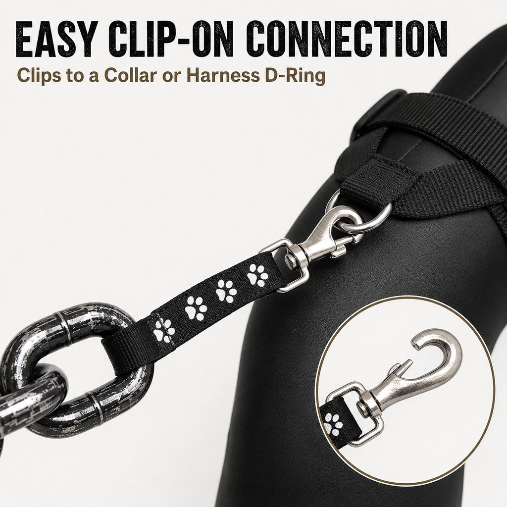 Oversized Chain Dog Leash & Collar Set for Small Dogs | Make Everyday Walks Stand Out