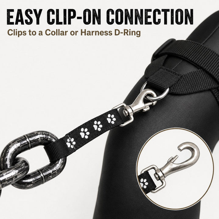 Oversized Chain Dog Leash & Collar Set for Small Dogs | Make Everyday Walks Stand Out
