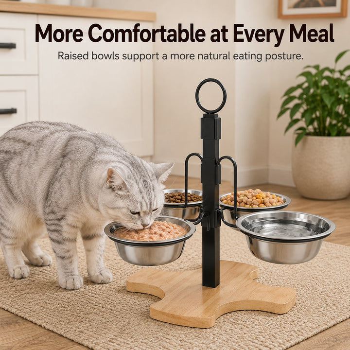 4-Bowl Adjustable Elevated Pet Feeder for Cats & Small Dogs | Organized Food and Water Station