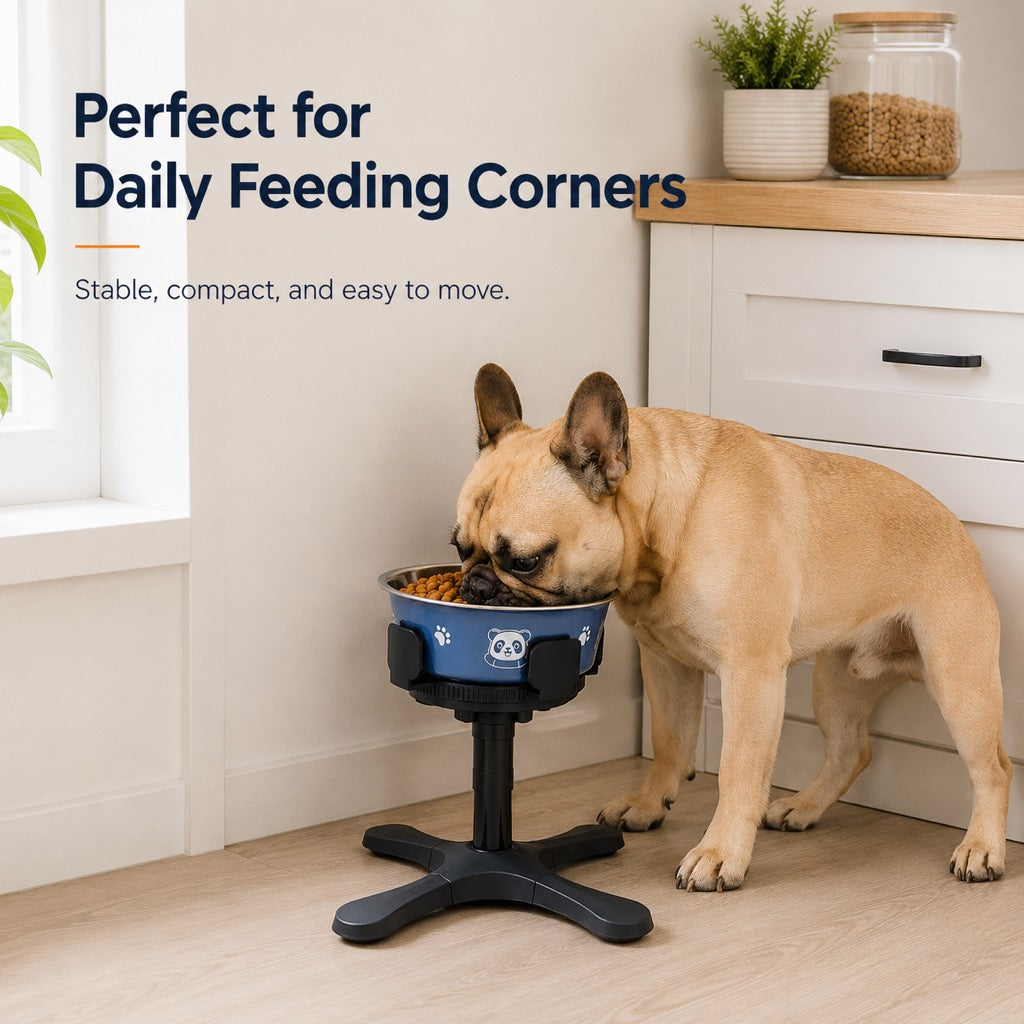 French Bulldog Adjustable Elevated Tilted Dog Bowl for Kitchen Feeding Corners