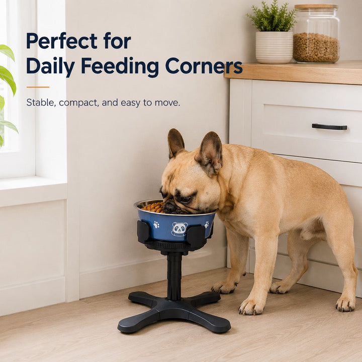French Bulldog Adjustable Elevated Tilted Dog Bowl for Kitchen Feeding Corners