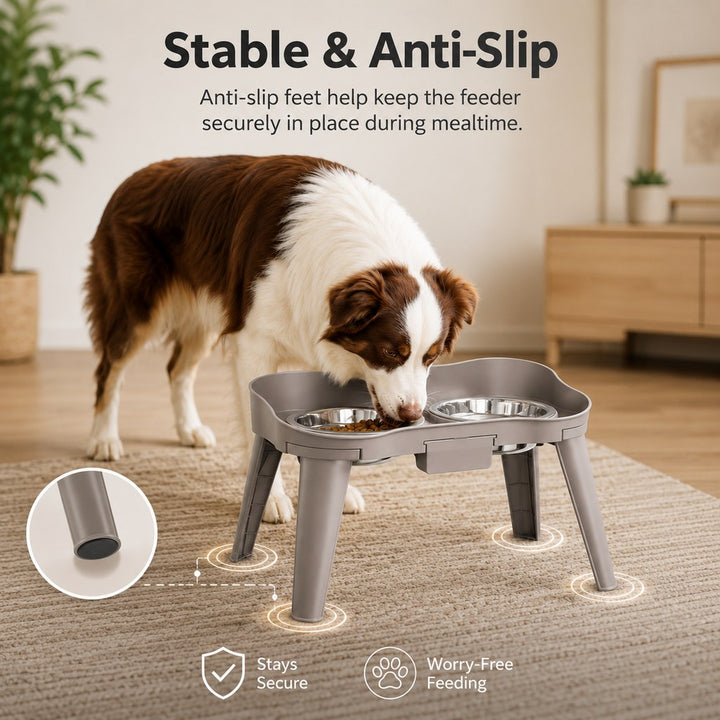 Elevated Pet Feeder with Spill Guard for Cats & Dogs