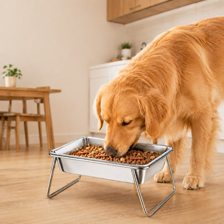 Elevated 304 Stainless Steel Pet Bowl with Stand for Cats & Dogs