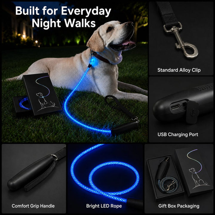 NightGlow LED Light-Up Dog Leash for Night Walks