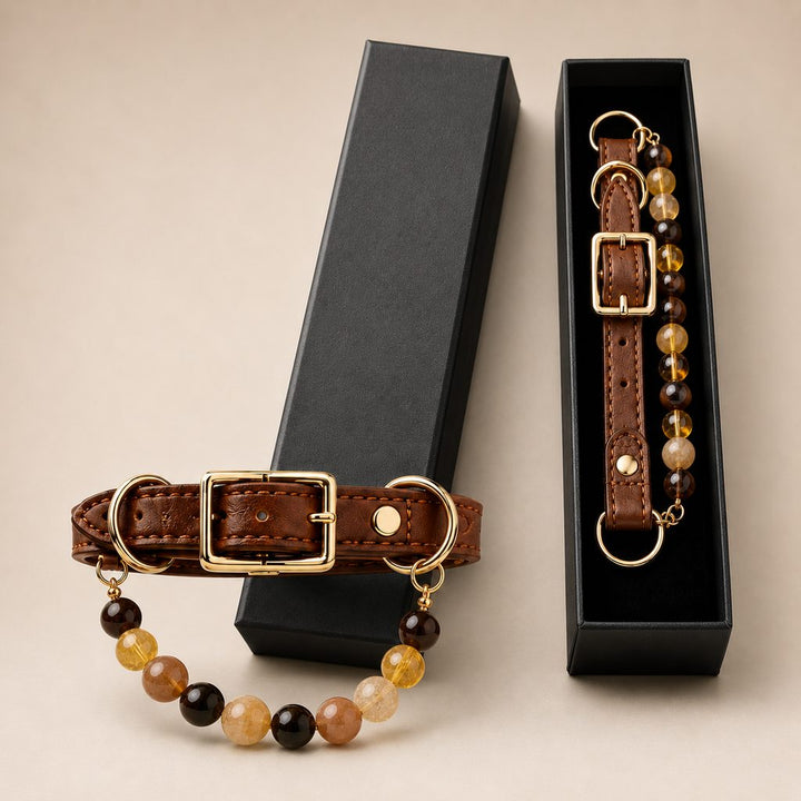 Four Elements Crystal Pet Collar Gift Box for Cats & Small Dogs