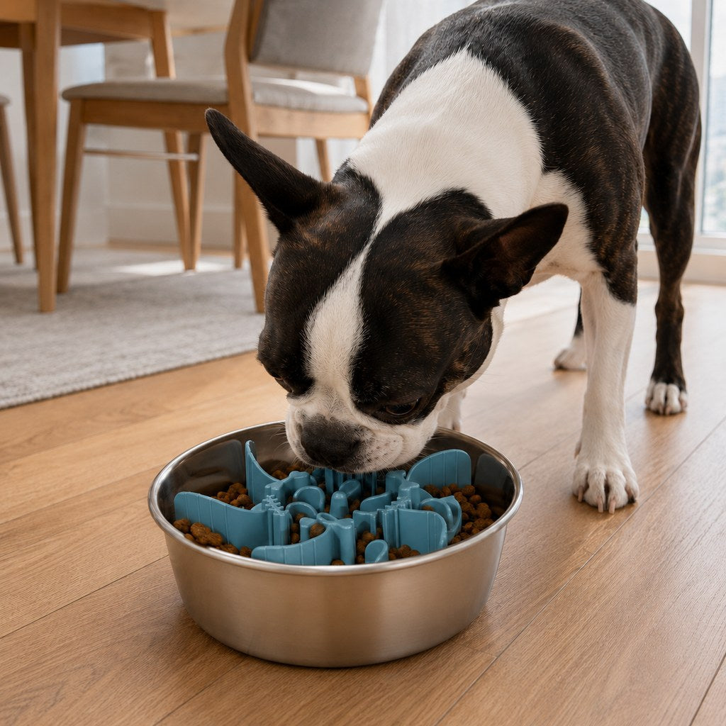 Fishbone Slow Feeder Bowl Insert for Fast-Eating Dogs