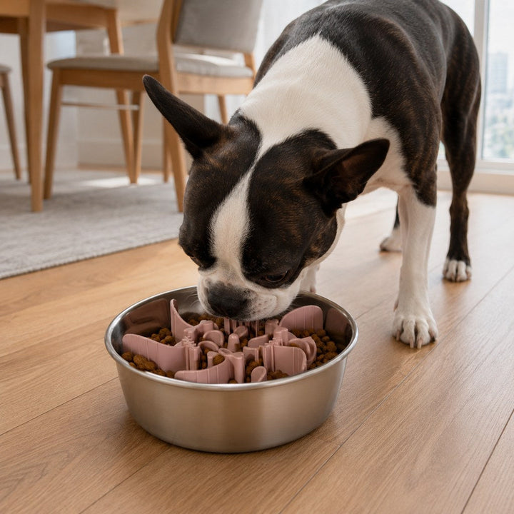 Fishbone Slow Feeder Bowl Insert for Fast-Eating Dogs
