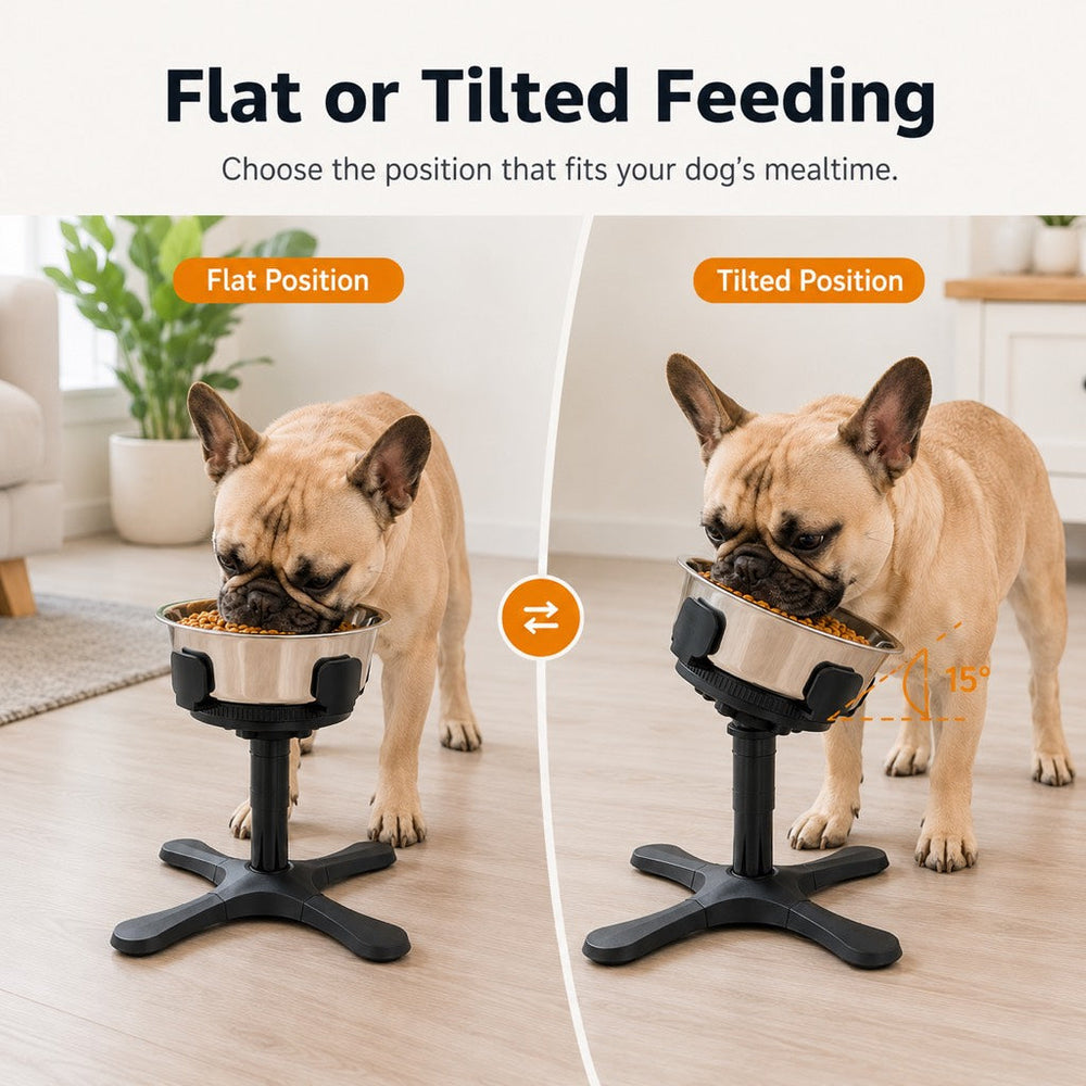 French Bulldog Adjustable Elevated Tilted Dog Bowl for Kitchen Feeding Corners