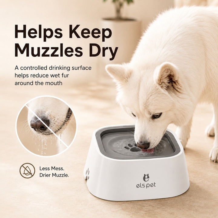 Floating Pet Water Bowl for Home & Car | Less Splash, Cleaner Floors