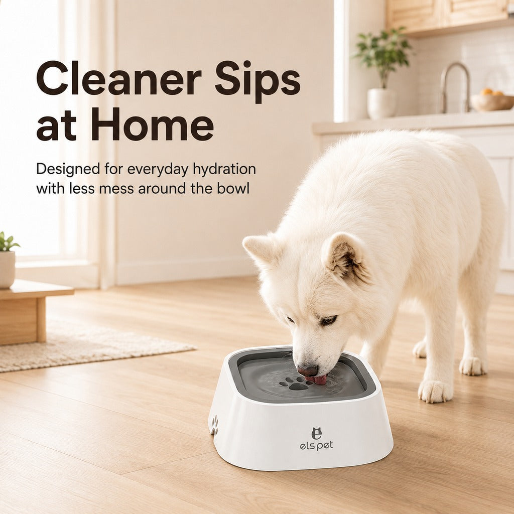 Floating Pet Water Bowl for Home & Car | Less Splash, Cleaner Floors