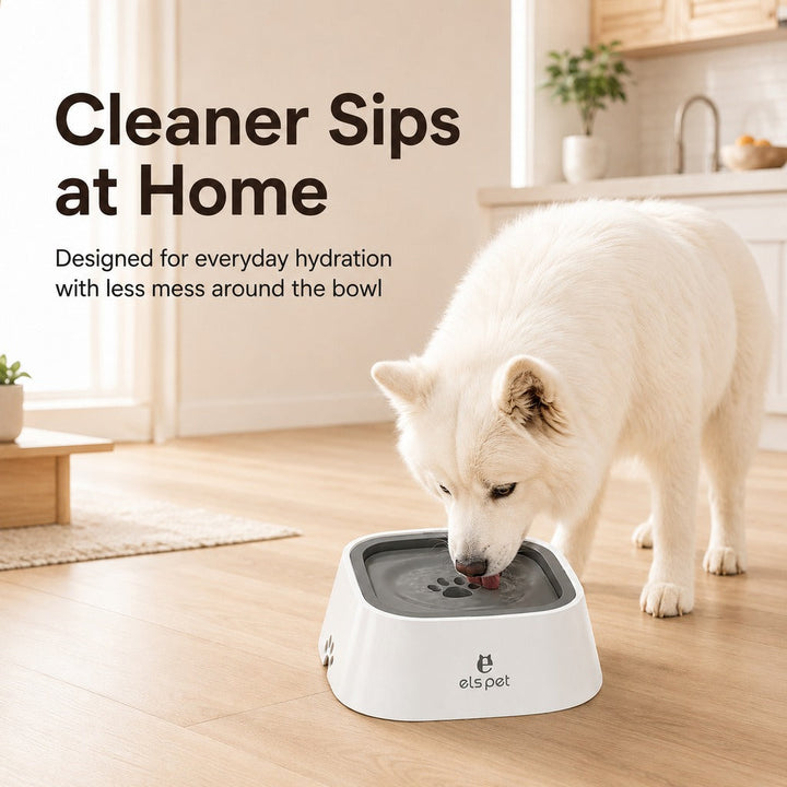 Floating Pet Water Bowl for Home & Car | Less Splash, Cleaner Floors