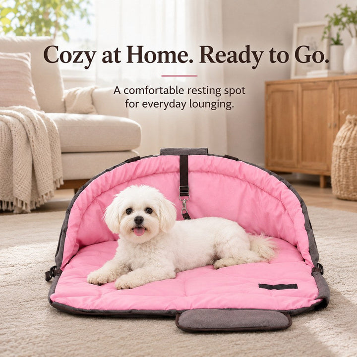 2-in-1 Foldable Dog Travel Bed & Carry Bag