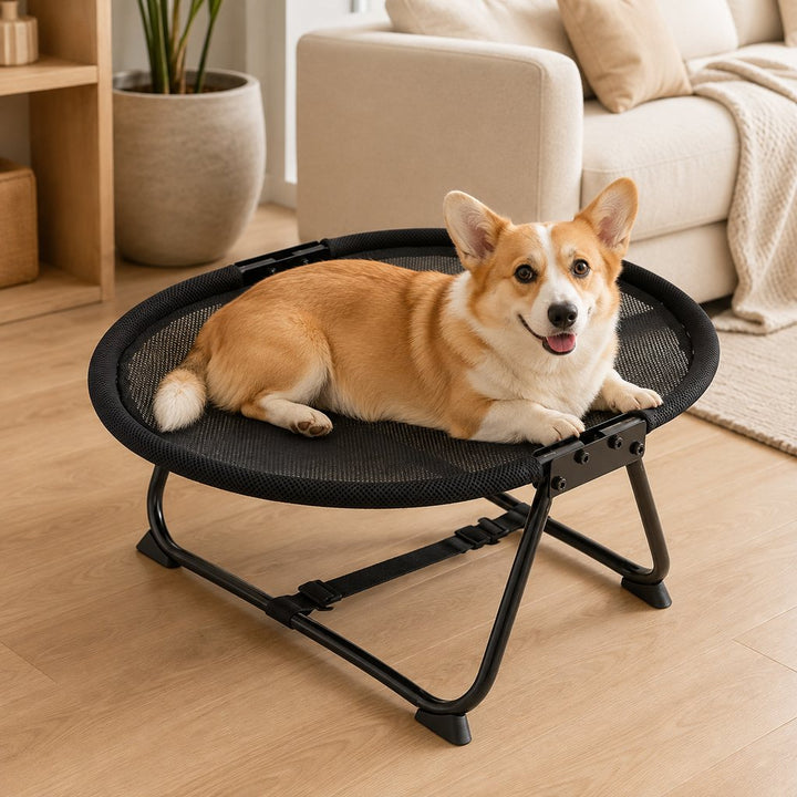 Foldable Elevated Pet Cot for Cats & Small Dogs
