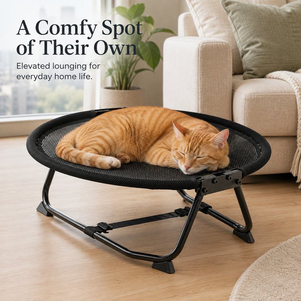 Foldable Elevated Pet Cot for Cats & Small Dogs