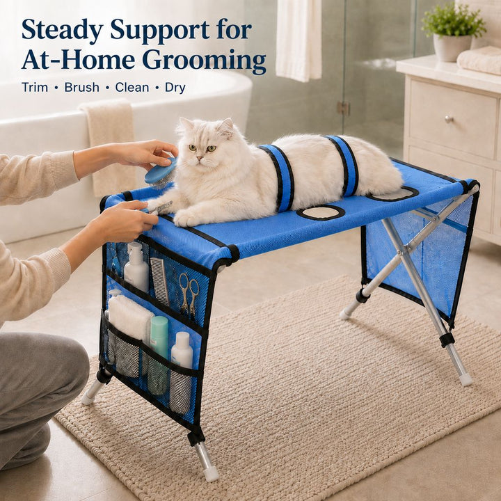 Foldable Pet Grooming Table with 4 Leg Openings