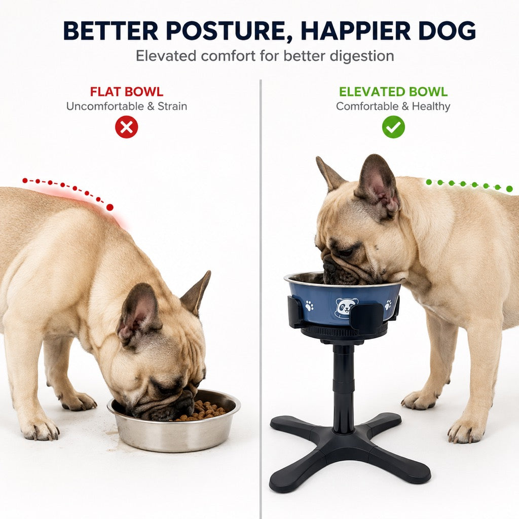 French Bulldog Adjustable Elevated Tilted Dog Bowl for Kitchen Feeding Corners