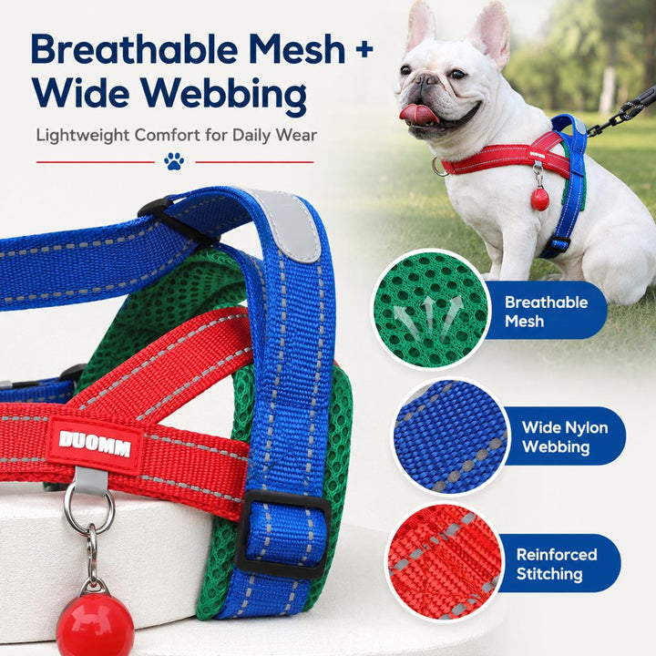 No-Choke French Bulldog Harness & Leash Set for Daily Walks