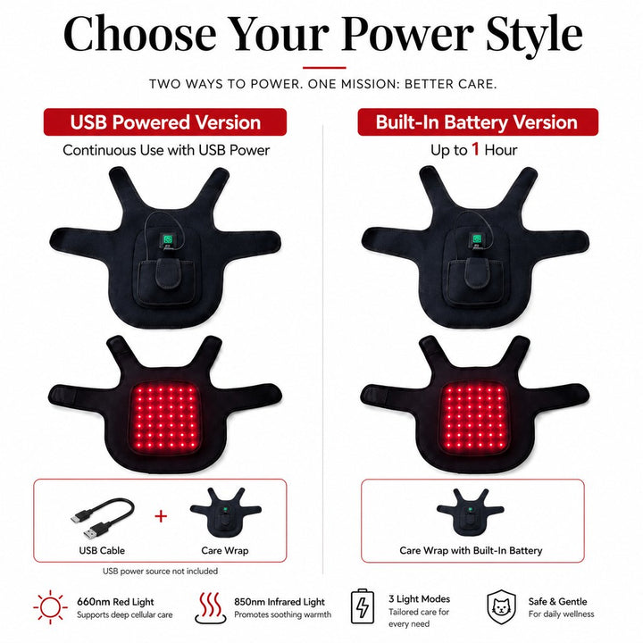 FrenchieGlow Red Light Comfort Vest for French Bulldogs