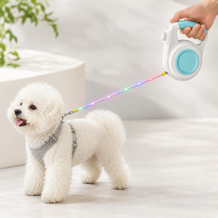 Rechargeable Light-Up Retractable Dog Leash for Night Walks