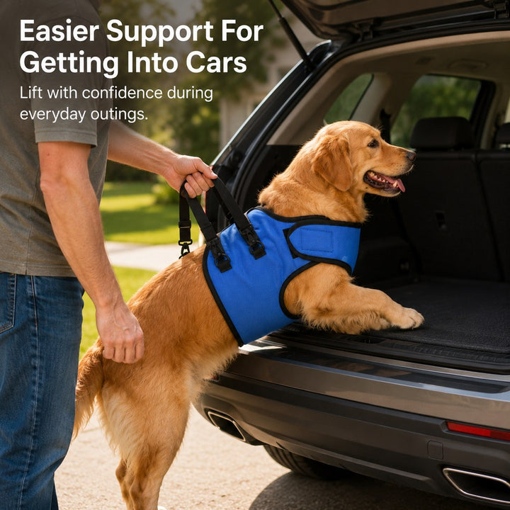 Front Leg Support Harness for Senior Dogs | Mobility Lift Aid for Walking, Stairs & Car Rides
