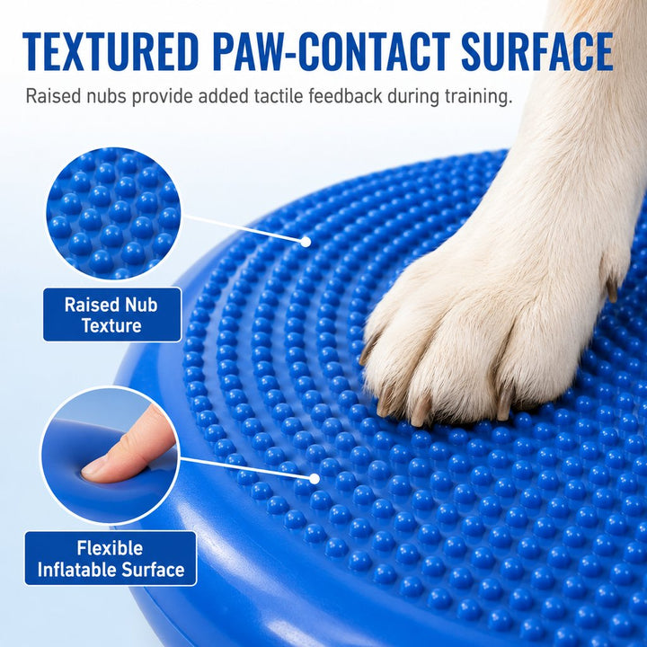 Inflatable Dog Balance Disc with Pump