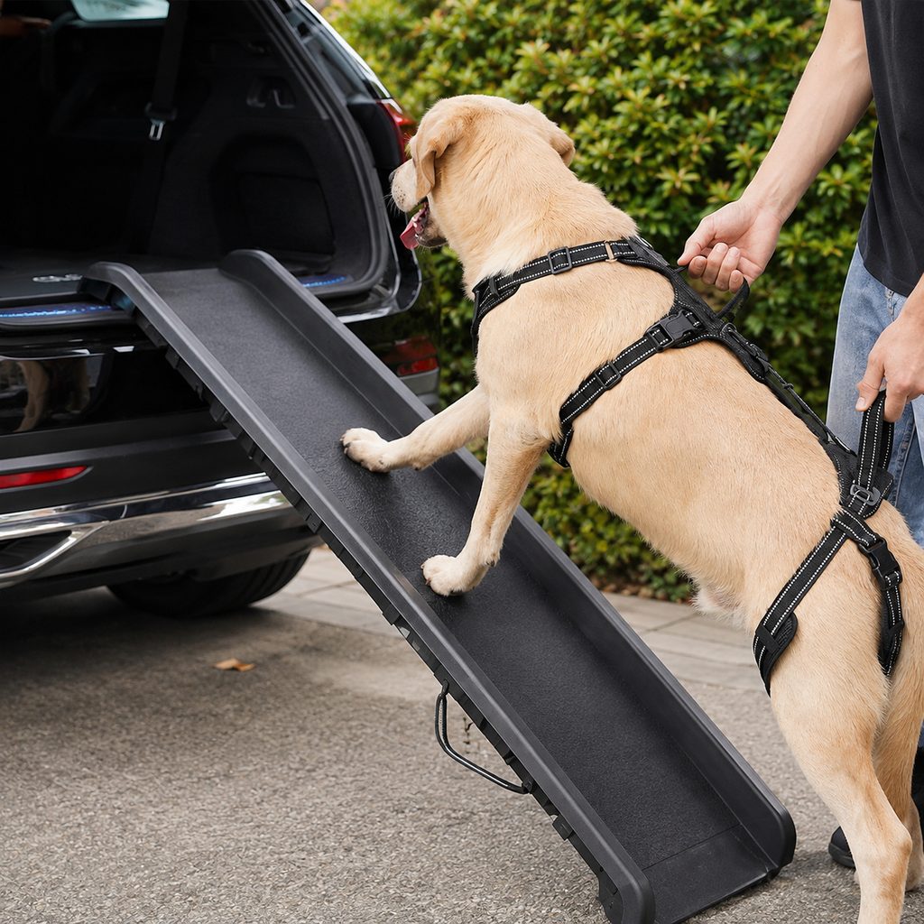 Full Body Dog Lift Harness for Stairs & Car | Mobility Support for Weak Hind Legs