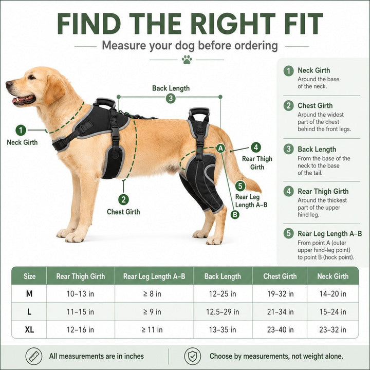 Full-Body Dog Lift Harness with Dual Rear-Leg Support | Easier Standing, Stairs & Car Entry