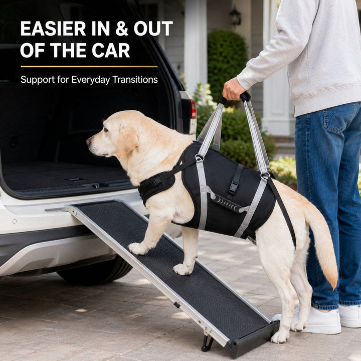 Full-Body Dog Lift Support Harness for Large Senior Dogs | Easier Stairs, Standing & Car Entry