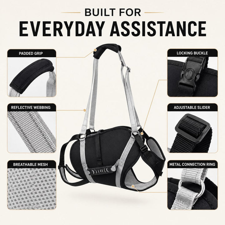 Full-Body Dog Lift Support Harness for Large Senior Dogs | Easier Stairs, Standing & Car Entry