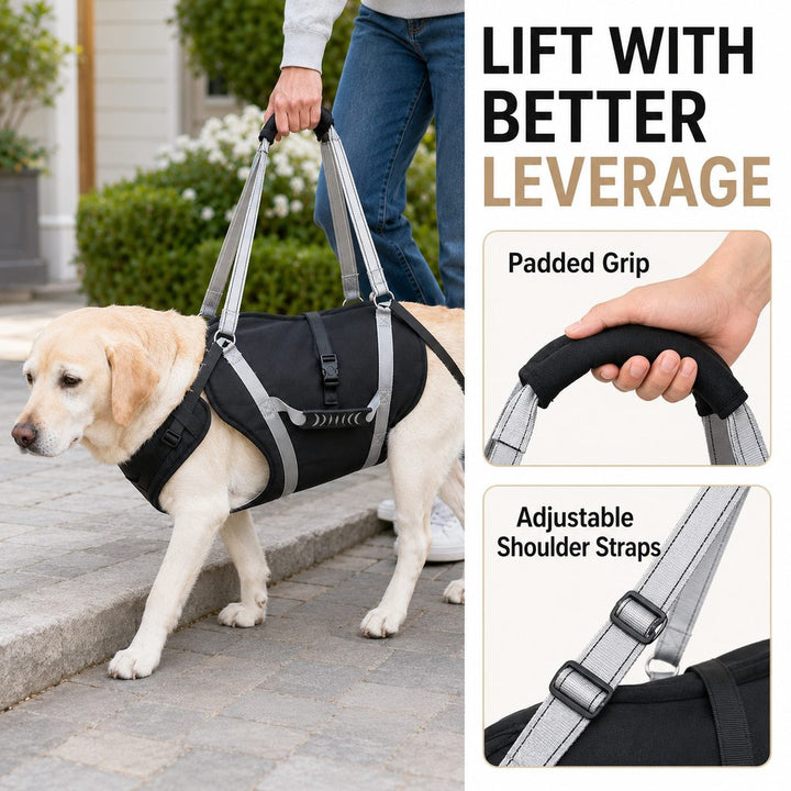 Full-Body Dog Lift Support Harness for Large Senior Dogs | Easier Stairs, Standing & Car Entry