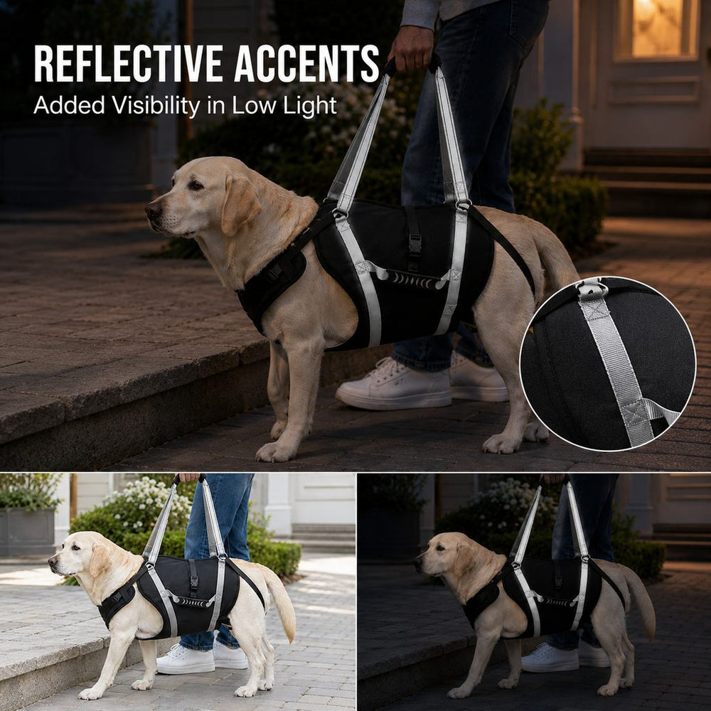 Full-Body Dog Lift Support Harness for Large Senior Dogs | Easier Stairs, Standing & Car Entry