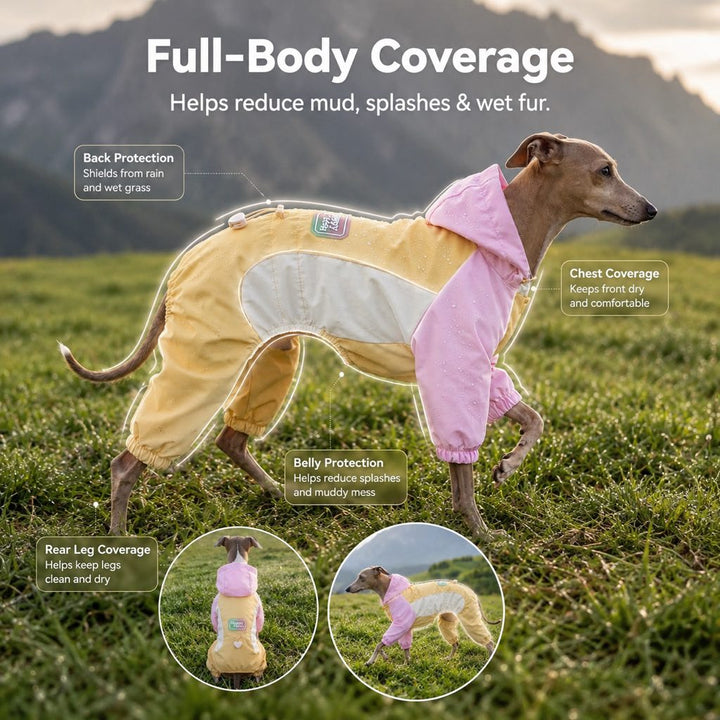 Waterproof Dog Rain Suit for Rainy Walks | Full-Body Mud & Splash Protection