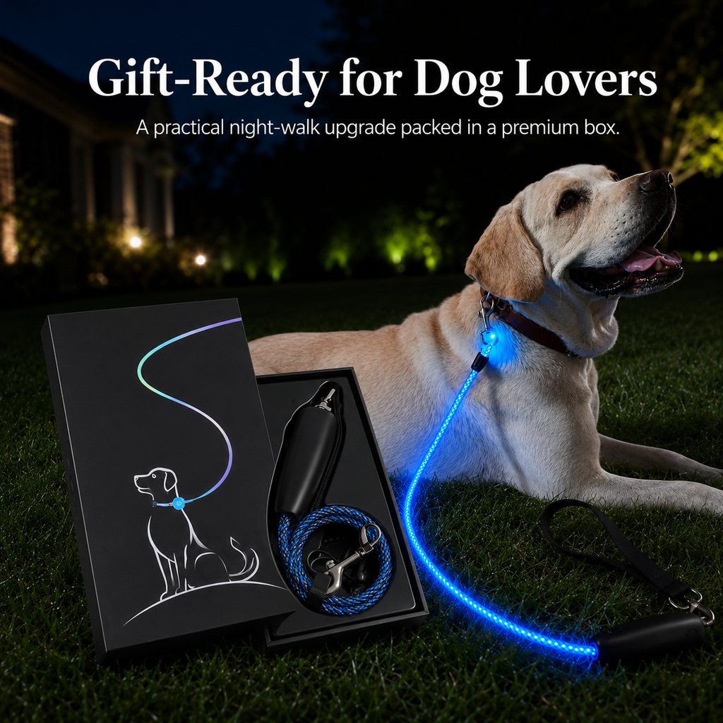 NightGlow LED Light-Up Dog Leash for Night Walks
