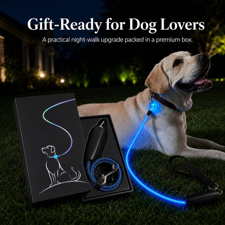 NightGlow LED Light-Up Dog Leash for Night Walks