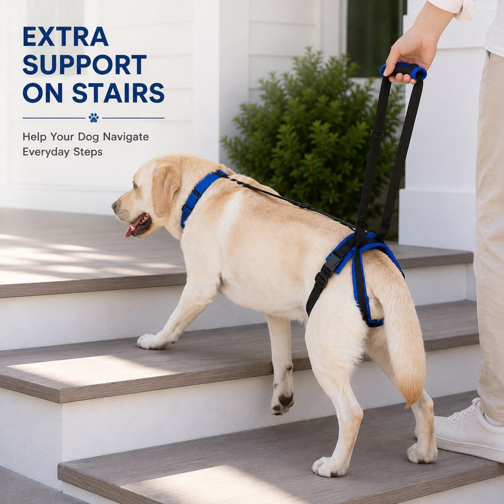 Adjustable Dog Rear Lift Support Harness