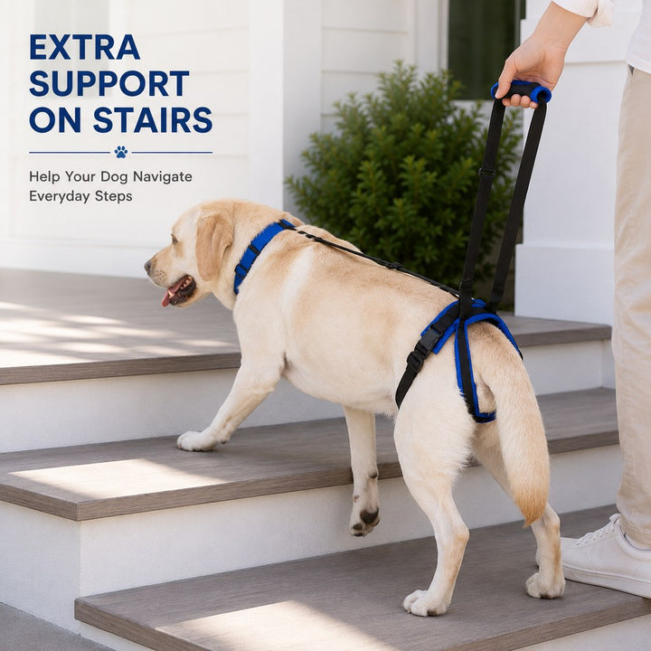 Adjustable Dog Rear Lift Support Harness