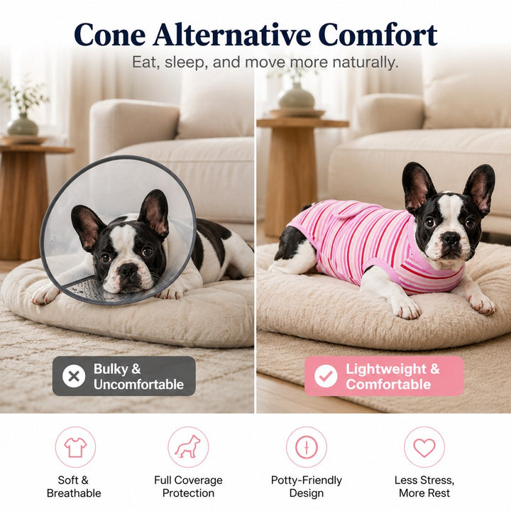 Breathable Dog Recovery Suit for Spay & Neuter Recovery, Soft Cone Alternative Onesie to Help Reduce Licking After Surge