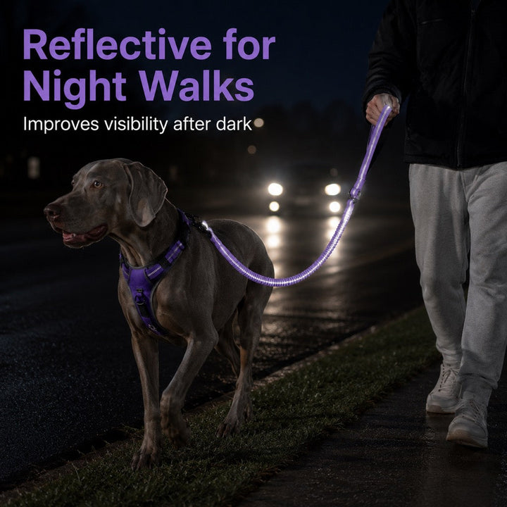 Reflective Dog Car Seat Belt Leash for Backseat Travel & Daily Walks