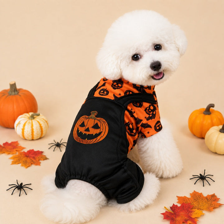 Halloween Dog Jumpsuit for Parties & Photos | Soft Pumpkin Pet Costume