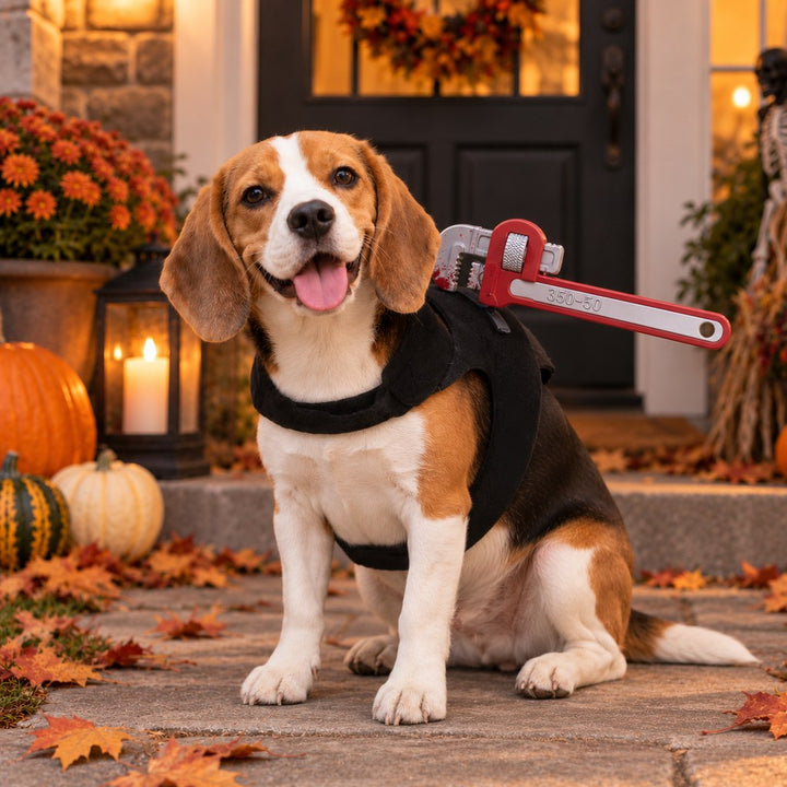 Halloween Horror Prop Dog Costume Harness