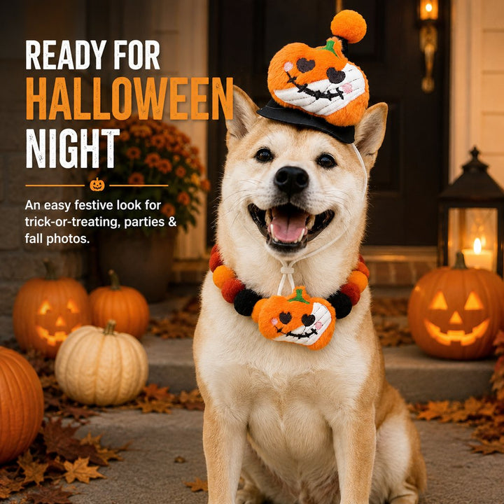 Halloween Pet Hat & Pom-Pom Collar Set for Dogs & Cats
