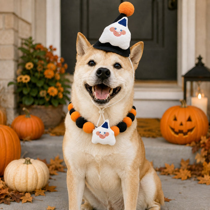 Halloween Pet Hat & Pom-Pom Collar Set for Dogs & Cats