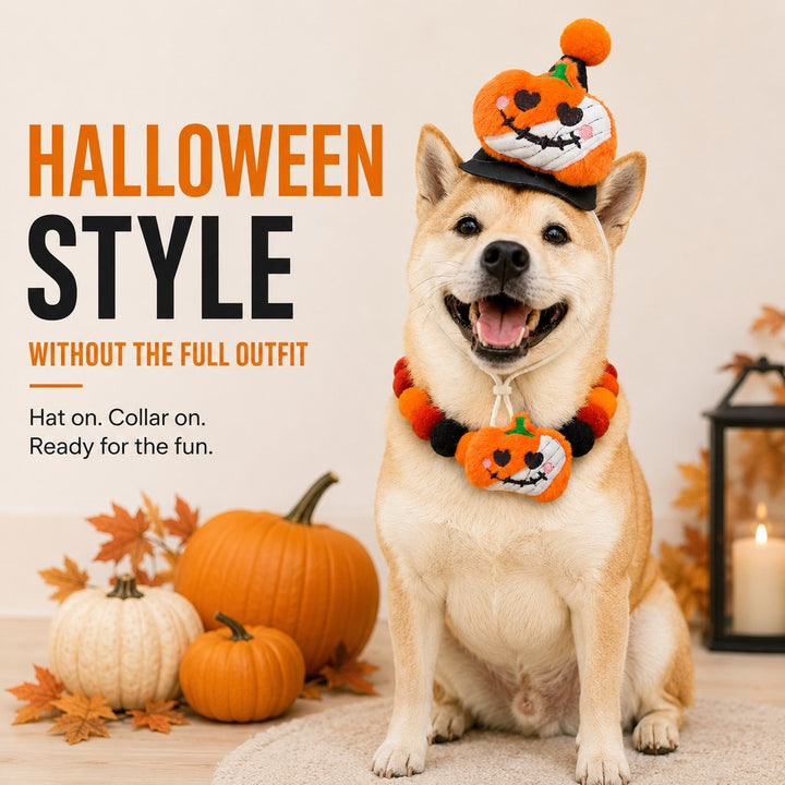 Halloween Pet Hat & Pom-Pom Collar Set for Dogs & Cats