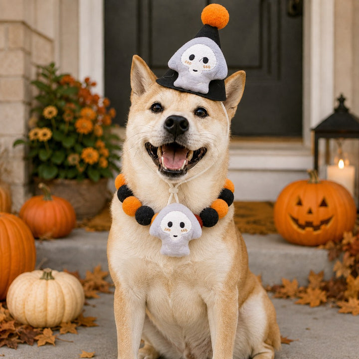 Halloween Pet Hat & Pom-Pom Collar Set for Dogs & Cats