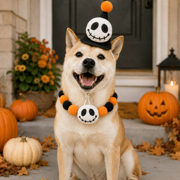 Halloween Pet Hat & Pom-Pom Collar Set for Dogs & Cats
