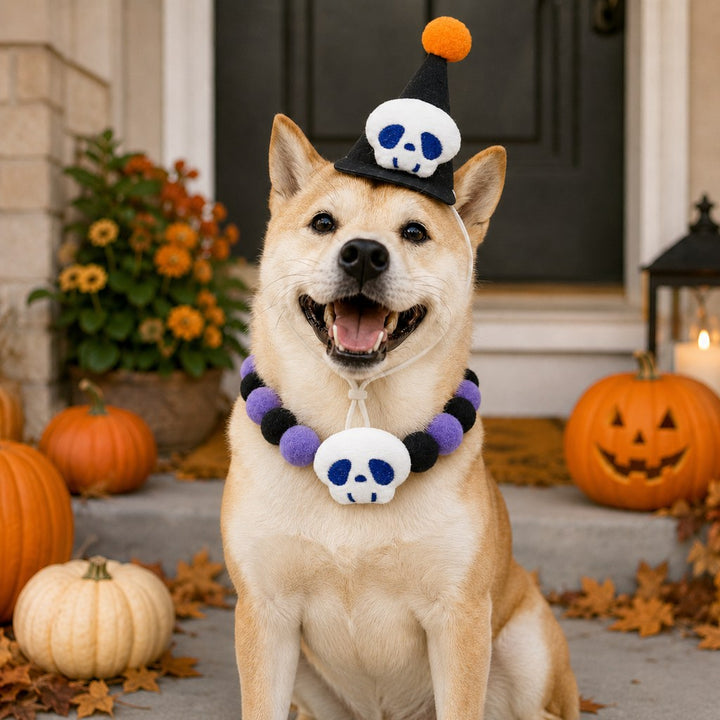 Halloween Pet Hat & Pom-Pom Collar Set for Dogs & Cats