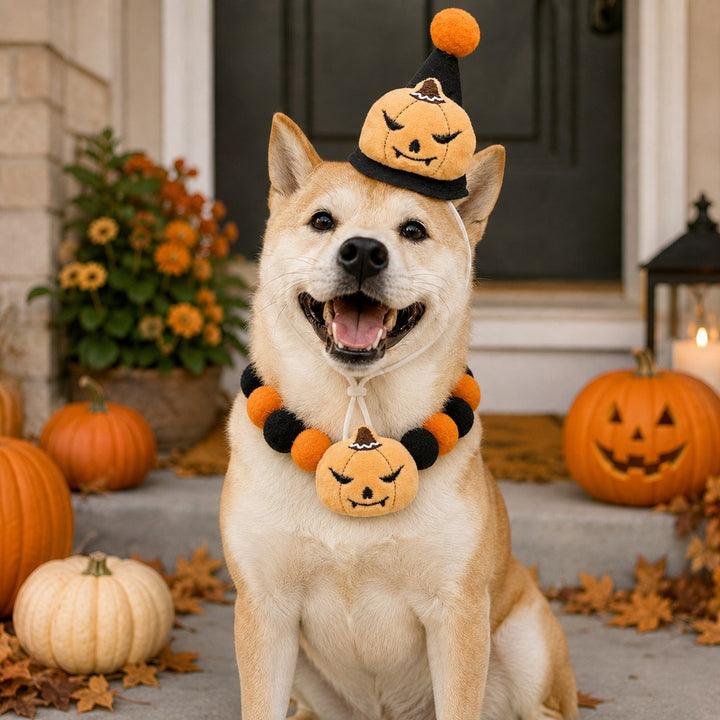 Halloween Pet Hat & Pom-Pom Collar Set for Dogs & Cats