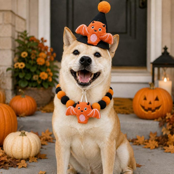 Halloween Pet Hat & Pom-Pom Collar Set for Dogs & Cats