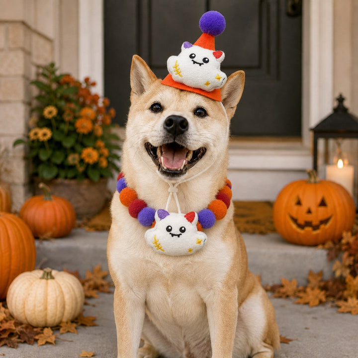 Halloween Pet Hat & Pom-Pom Collar Set for Dogs & Cats