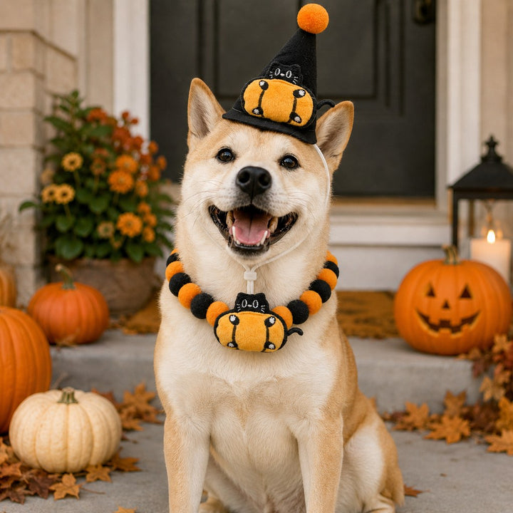 Halloween Pet Hat & Pom-Pom Collar Set for Dogs & Cats
